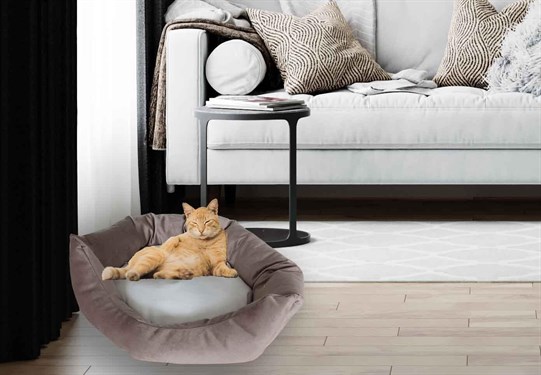 Kedi Yatağı Köpek Yatağı Yavru Kedi yatağı Yavru Köpek Yatağı Düz Kahverengi